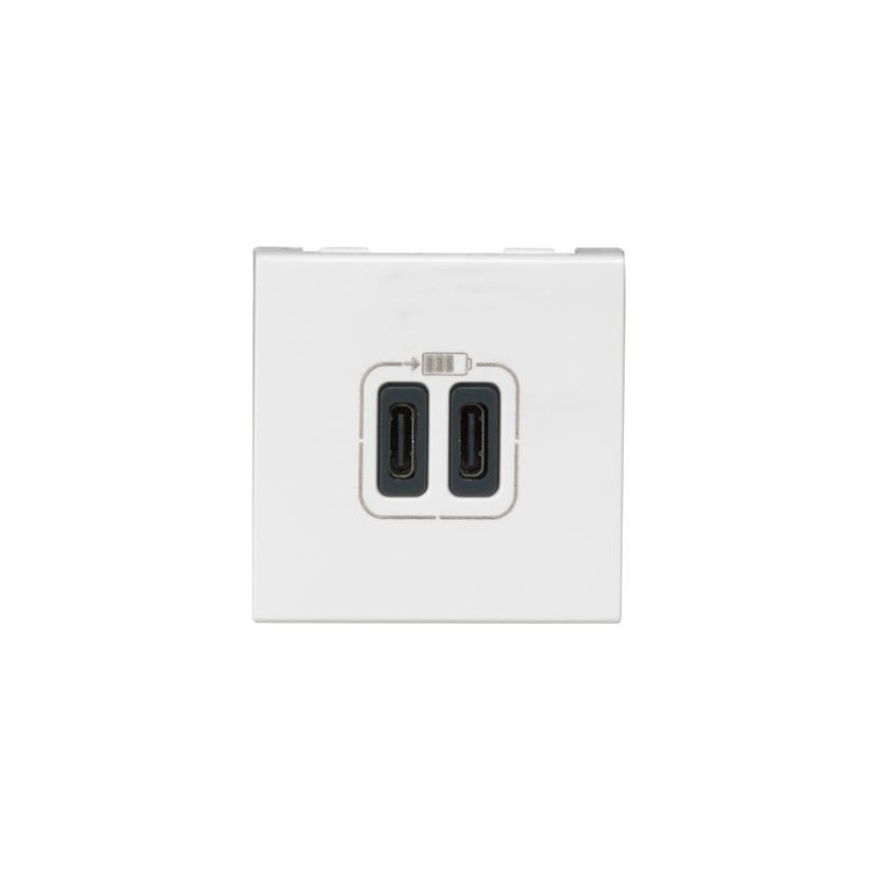 MECANISME PRISE DOUBLE USB TYPE C 2 MODULES BLANC MOSAIC