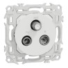 Odace 2025 - prise TV/FM/SAT - sorties coaxiales - blanc craie