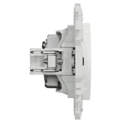 Odace 2025 - prise TV simple mâle avec griffes - blanc craie