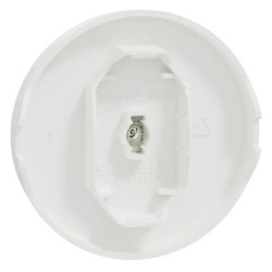 Odace 2025- enjoliveur seul à voyant - pour va-et-vient ou poussoir - blanc craie