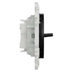 Odace 2025 - double va-et-vient ou poussoir à levier - 10AX - noir onyx