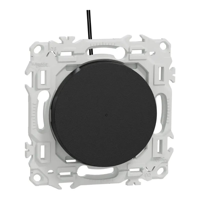 Odace 2025 - va-et-vient ou poussoir lumineux LED verte 0,15mA - 10AX - noir onyx