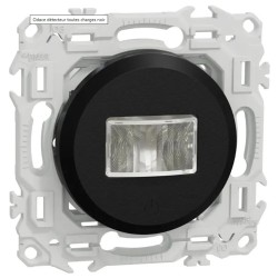 Odace 2025 - détecteur...