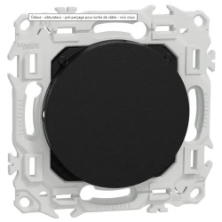 Odace 2025 - obturateur -...