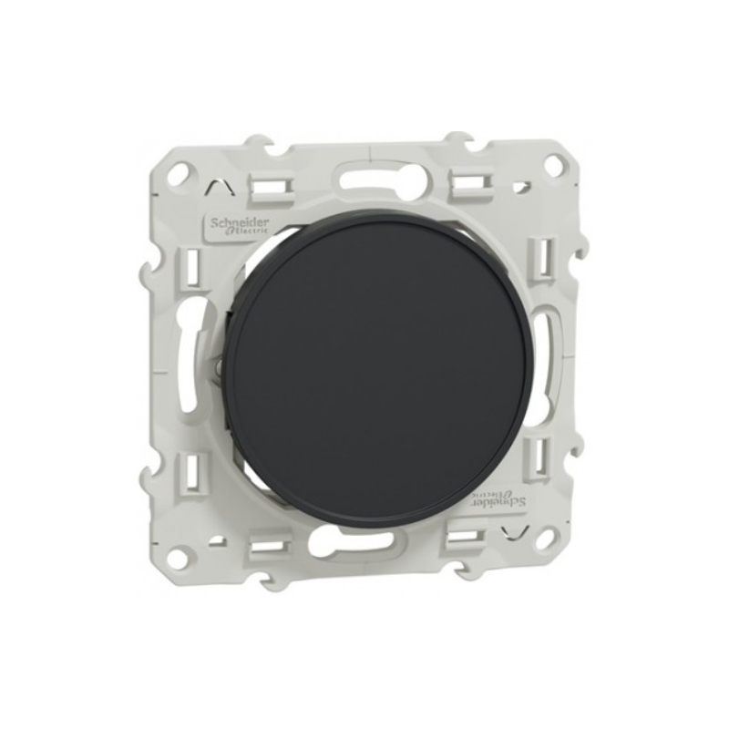 Odace 2011 - Obturateur - anthracite - fixation par vis
