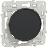 Odace 2011 - Obturateur - anthracite - fixation par vis